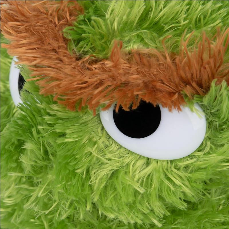 Sesame Street Oscar  Close-up of a green plush toy with a large white eye and brown hair.