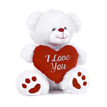Load image into Gallery viewer, White teddy bear with a red heart that says &#39;I Love You&#39; on a white background
