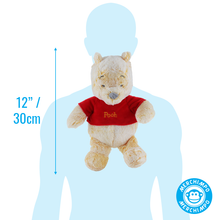 Load image into Gallery viewer, Winnie The Pooh Soft Plush Cuddly Toys Medium Size
