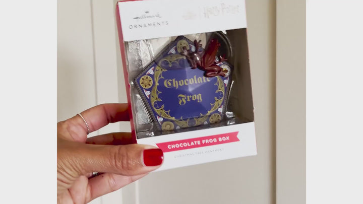 Harry Potter Chocolate Frogs Ornament Unboxing Video