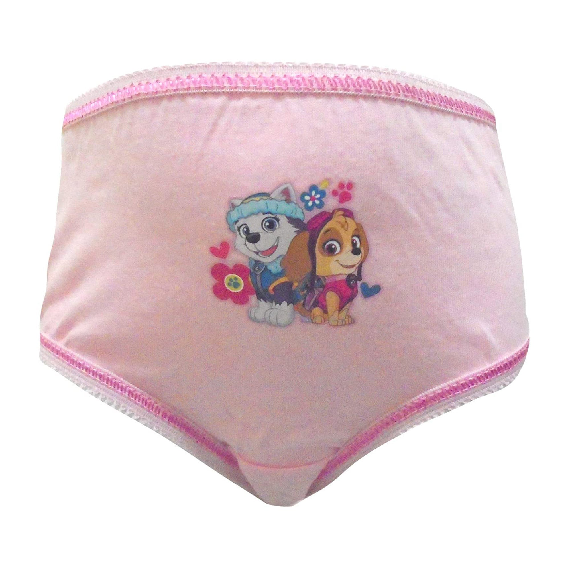 Paw Patrol Skye Girls Knickers Pink