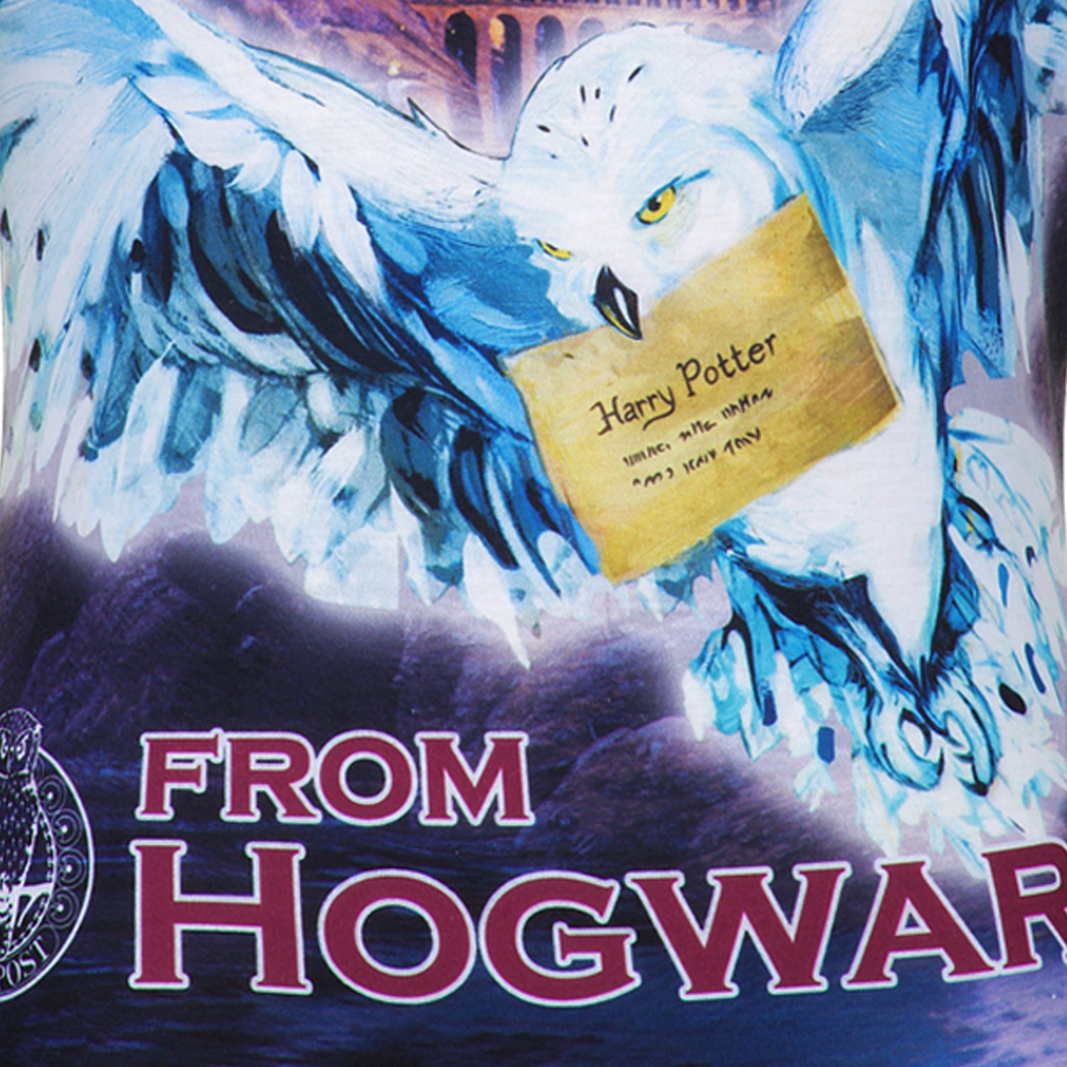 Girls Harry Potter Letter From Hogwarts Pyjama Set Top Detail