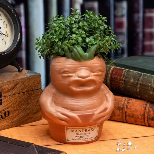 Harry Potter Mandrake Ceramic Planter sat on desk surrounded by books 
